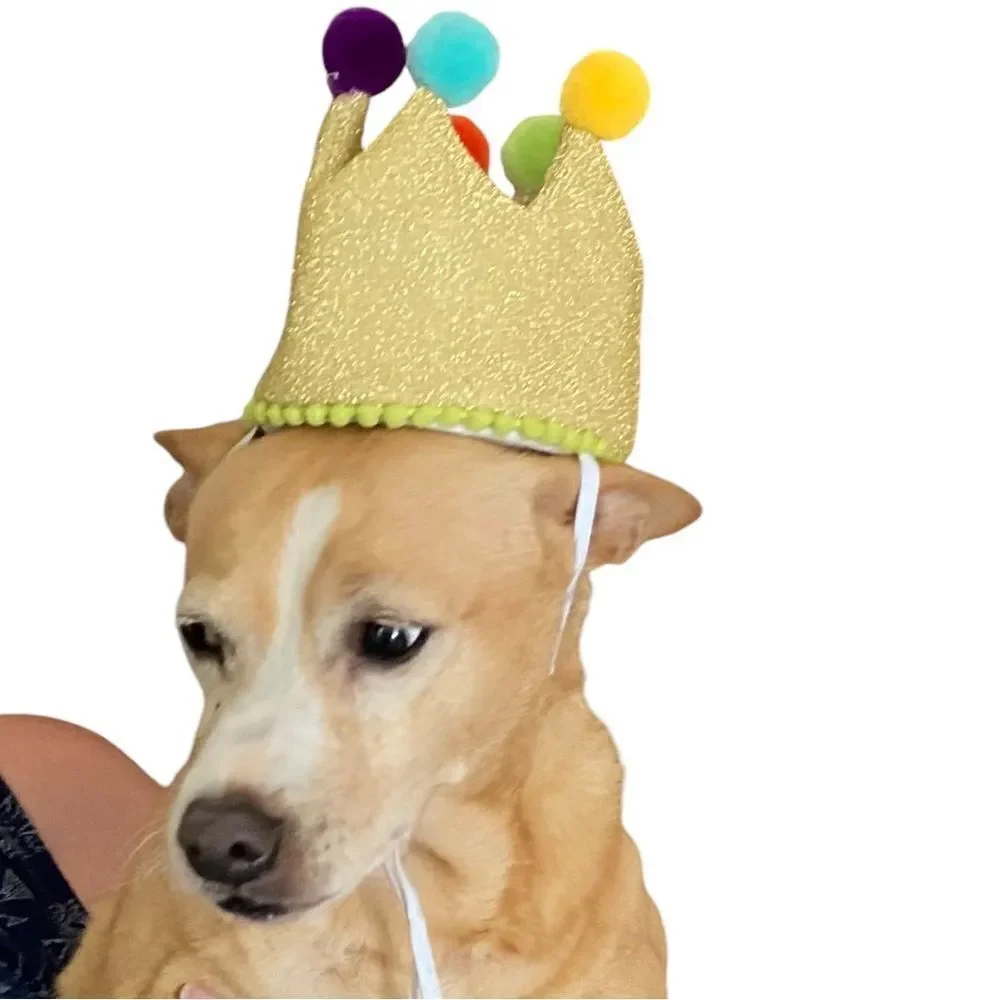 Sparkly Gold Doggy Birthday Crown